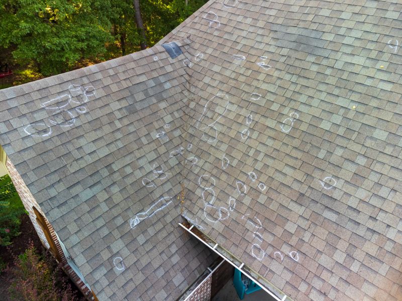 Roof Inspection for Repairs